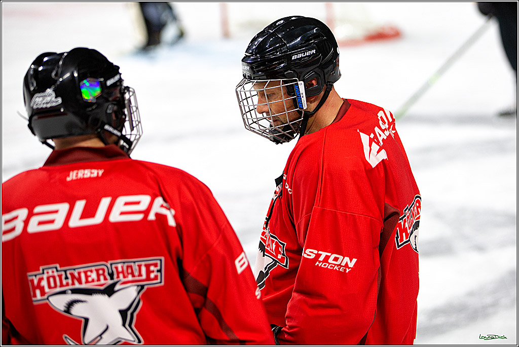 PENNY DEL; Koelner Haie- Red BUll Muenchen Sponsorenspiel; Koeln, 08.11.2022